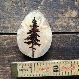 Wood Burned Pine Tree Wood Slice Magnet. Handmade by Forage Workshop ...