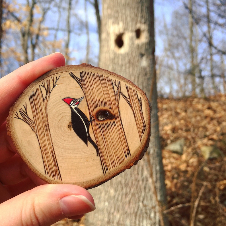 Wood burned and painted woodland bird ornament Forest friend. Pileated woodpecker ornament