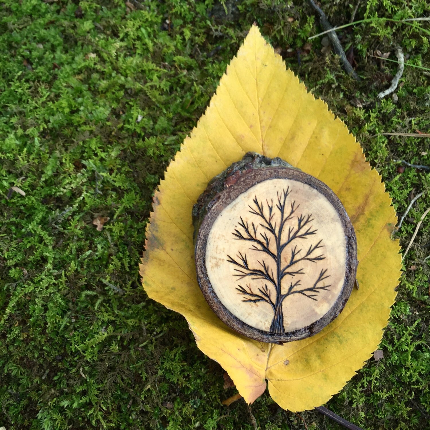 Wood Burned Tree Wood Slice Magnet. Wood Slice Magnet Handmade by ...