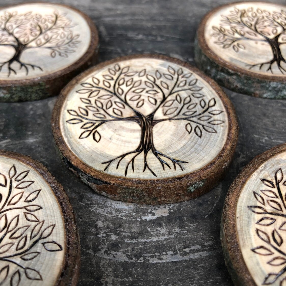 Wood burned tree of life wood slice magnet. Handmade by Forage | Etsy