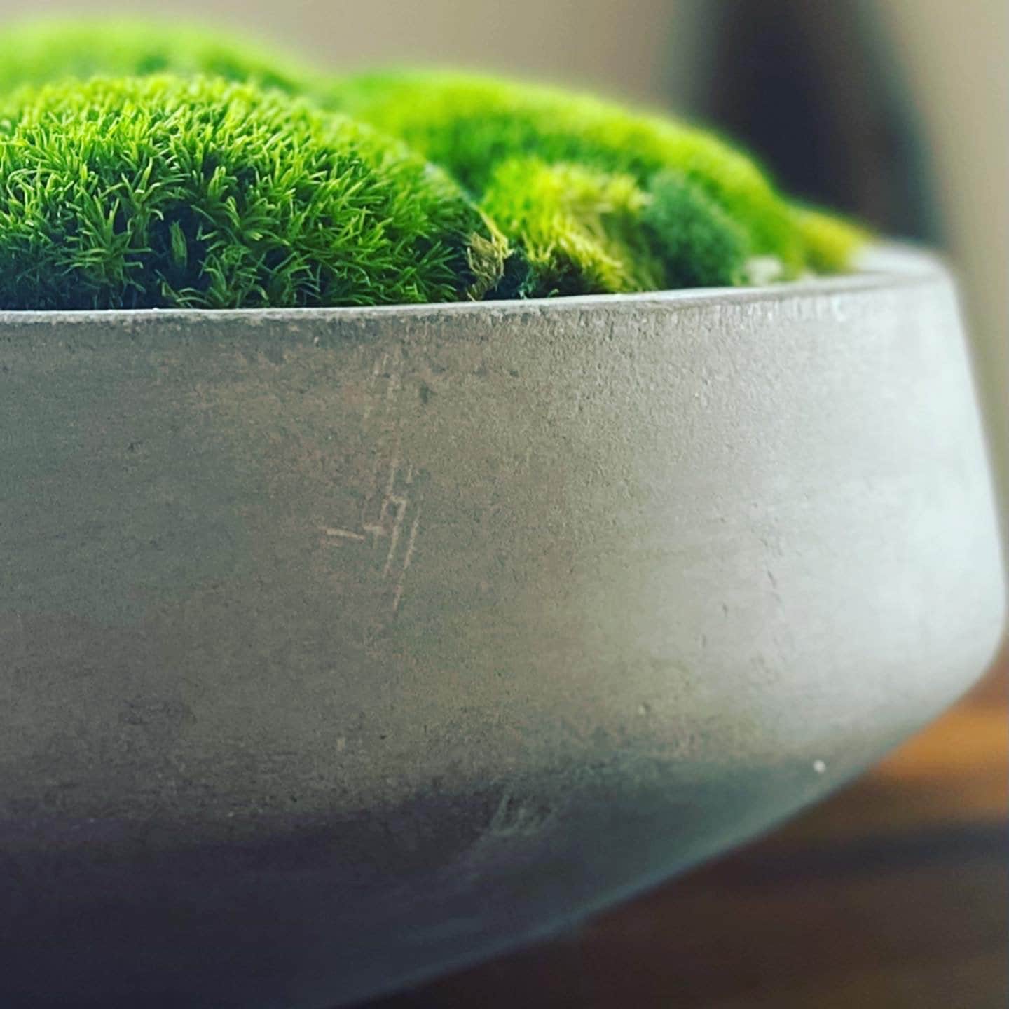 Moss bowl Moss my bowl Etsy