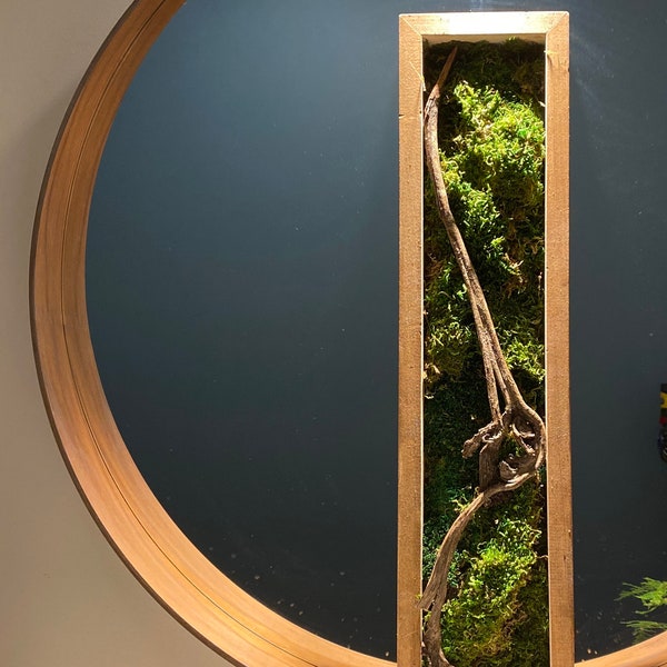 Moss Wall Art Etsy Canada