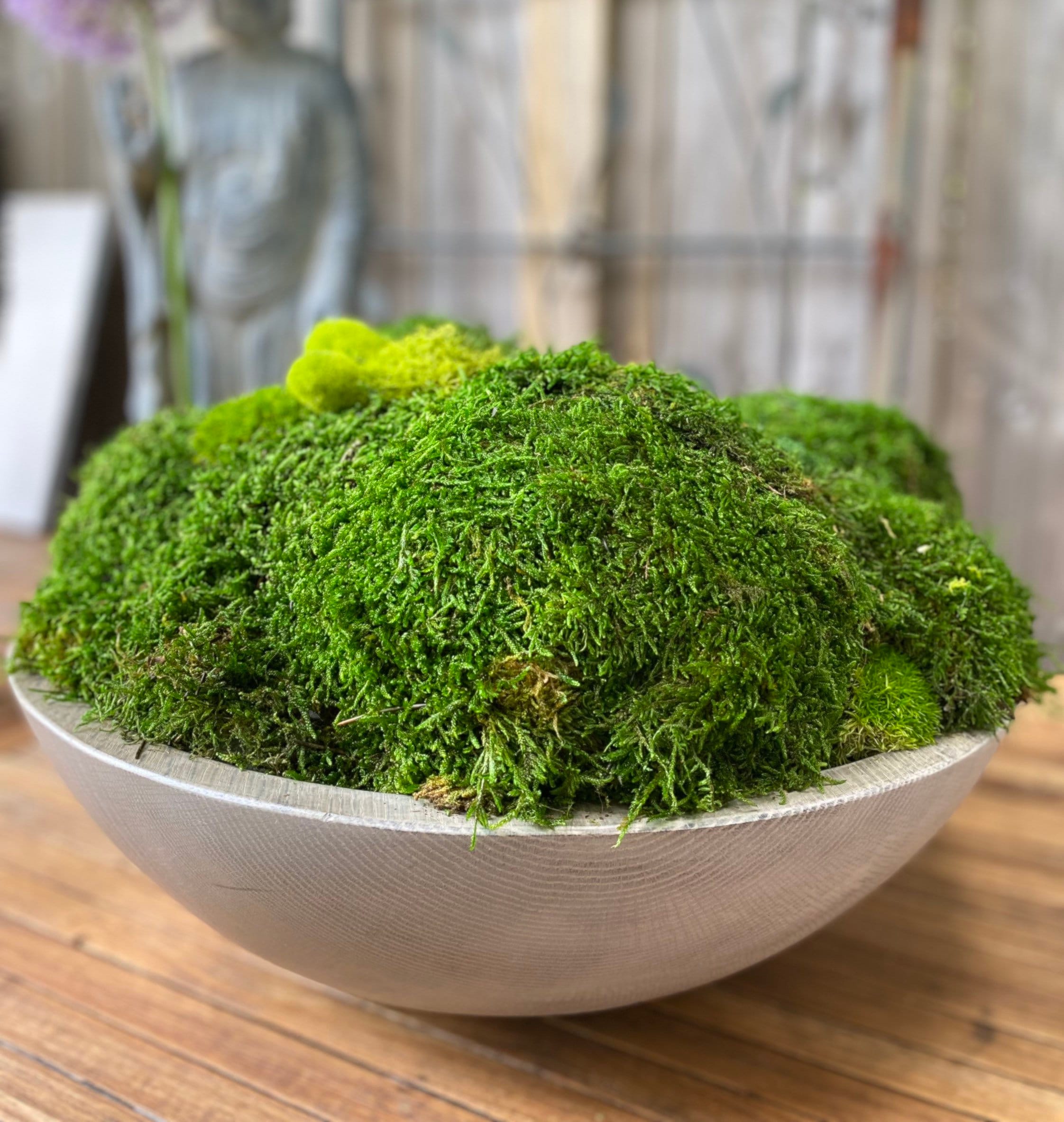 2. Tranquil Tranquility: A Serene Moss Bowl For Your Space