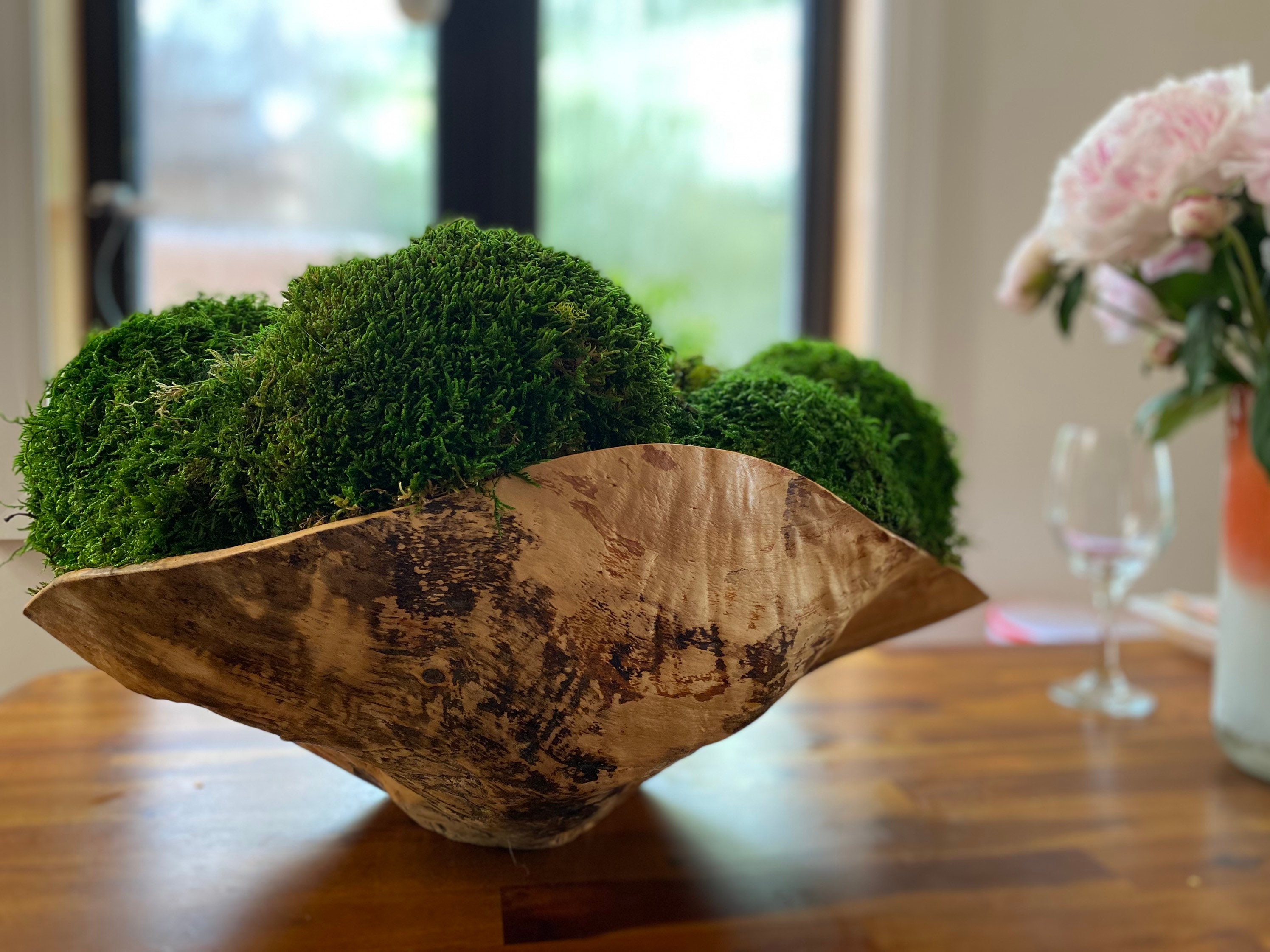 5. A Symphony Of Greens: Bowl Of Moss