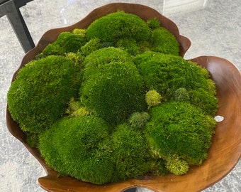 Moss bowl “Moss my bowl”