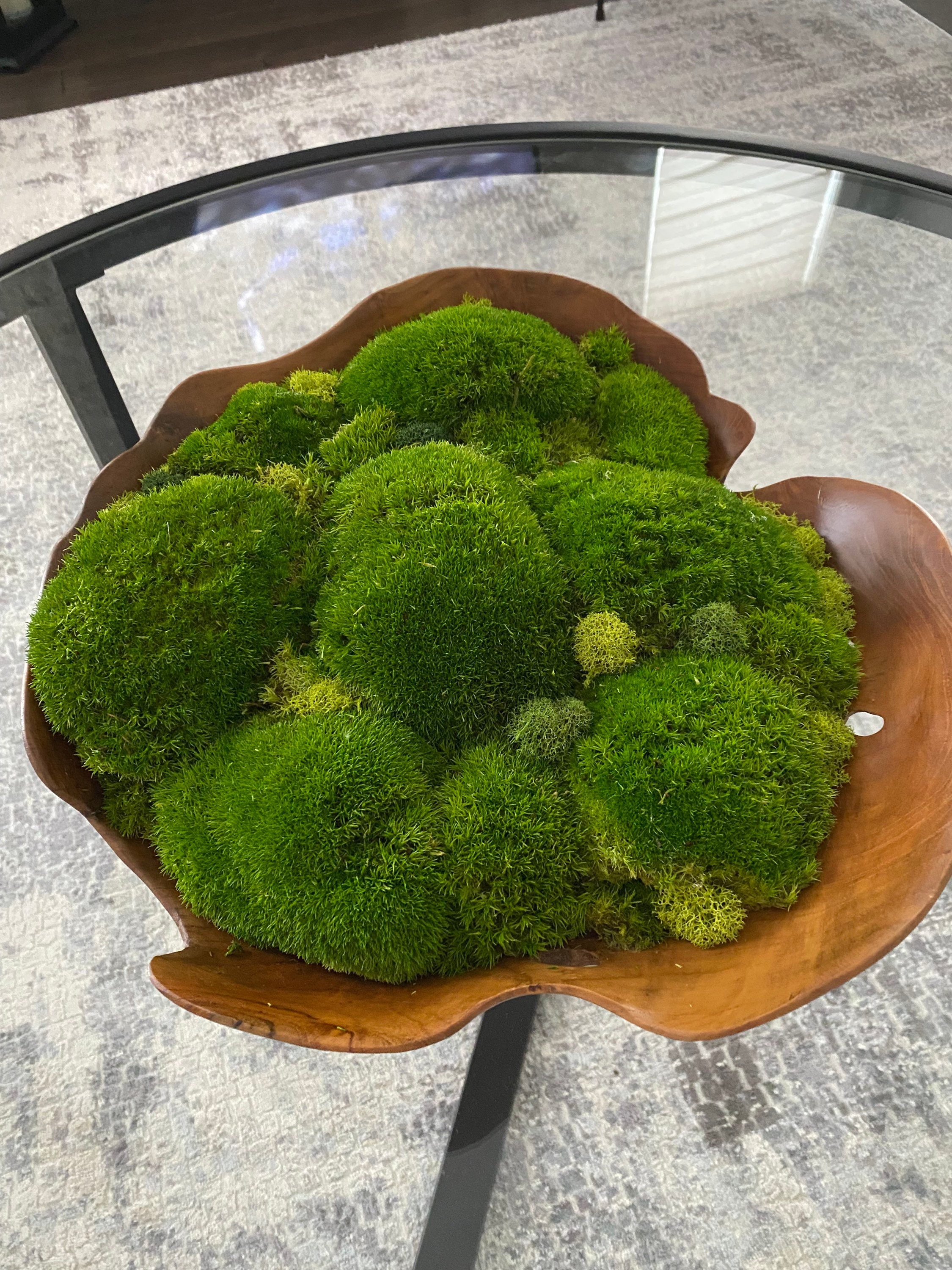 5. A Symphony Of Greens: Bowl Of Moss
