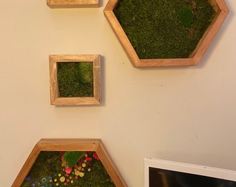Free shipping until Xmas! 2  Petite Moss Art 6”. Handmade frame, moss art,  Preserved mosses. Specify your preferred shape !