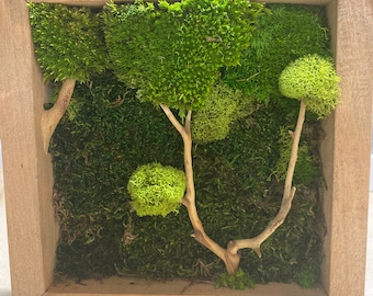 MossArt 8 » pour bureau ou mur