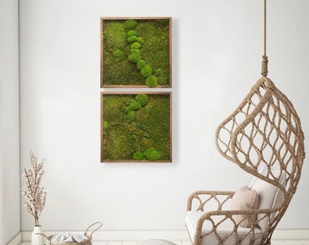 2 ft Moss Art preserved, 24” by 24”. Toronto, SINGLE piece