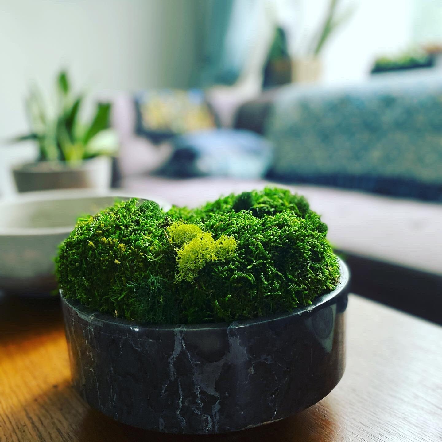 9. Earthy Serenity: A Moss Bowl To Calm And Center