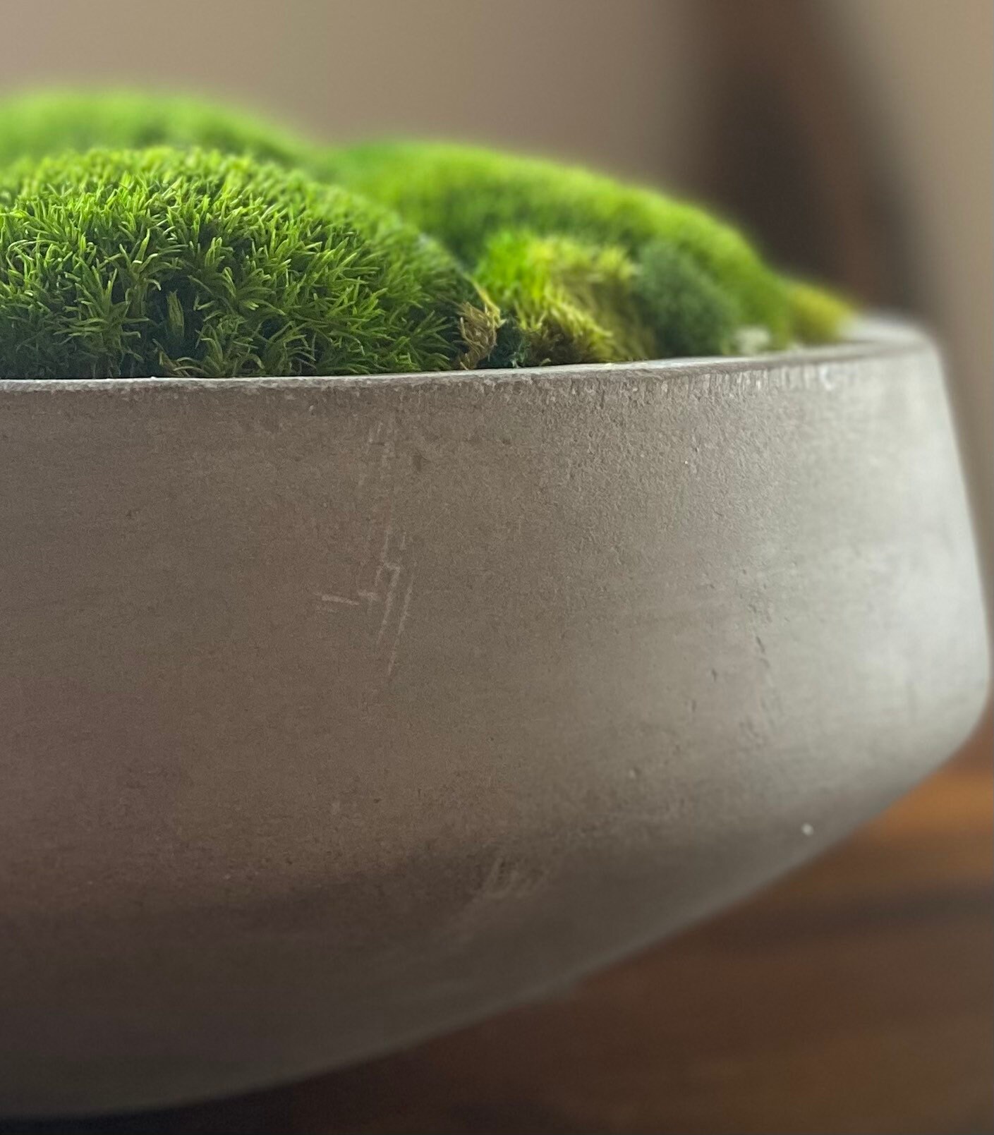 Moss bowl Restoration Hardware inspired Etsy