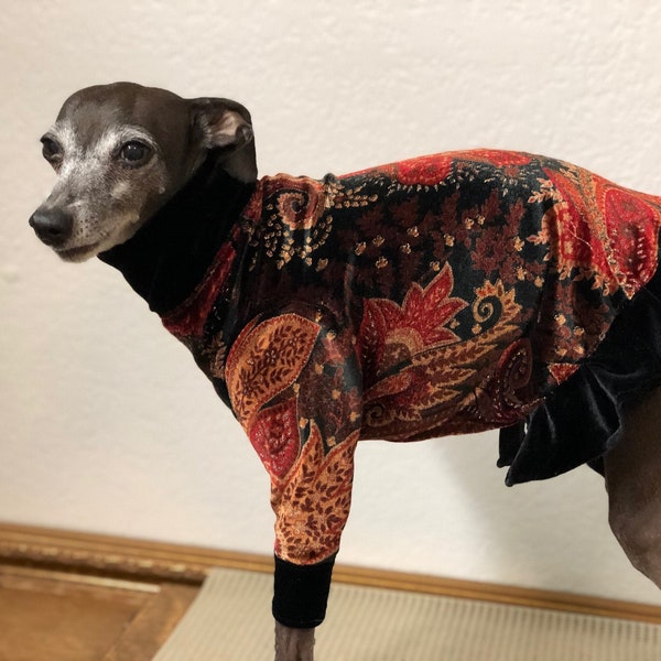 Italian Greyhound Velvet Long Sleeve Ruffled Shirt - Size Small