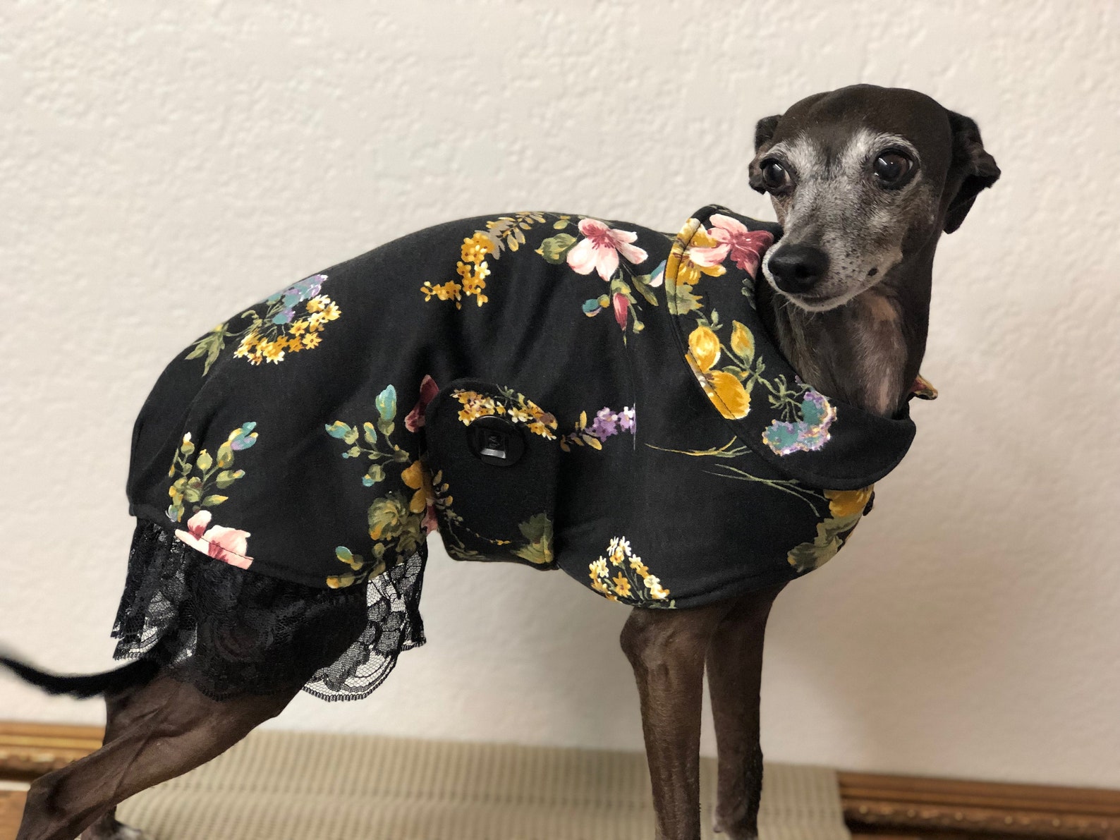 Italian Greyhound Coat Dress Lace Trim Floral Size Small Etsy