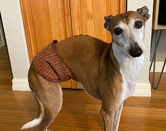 May include: A brown and white dog wearing a belly band wrap featuring a geometric pattern of orange, black, and white lines. The dog has a slender build, pointed ears, and dark eyes, standing while wearing the fabric wrap around its midsection.