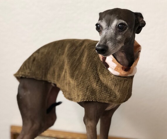 Italian Greyhound Coat Size Small Etsy