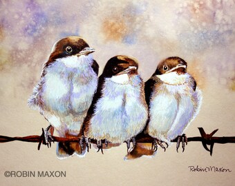 Baby Barnswallowst: original watercolor painting by Robin Maxon
