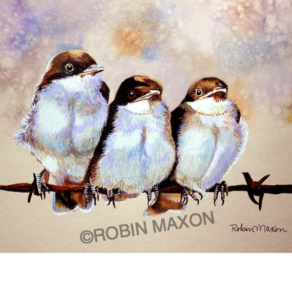 Barn Swallow Chicks Watercolor Painting By Robin Maxon Etsy