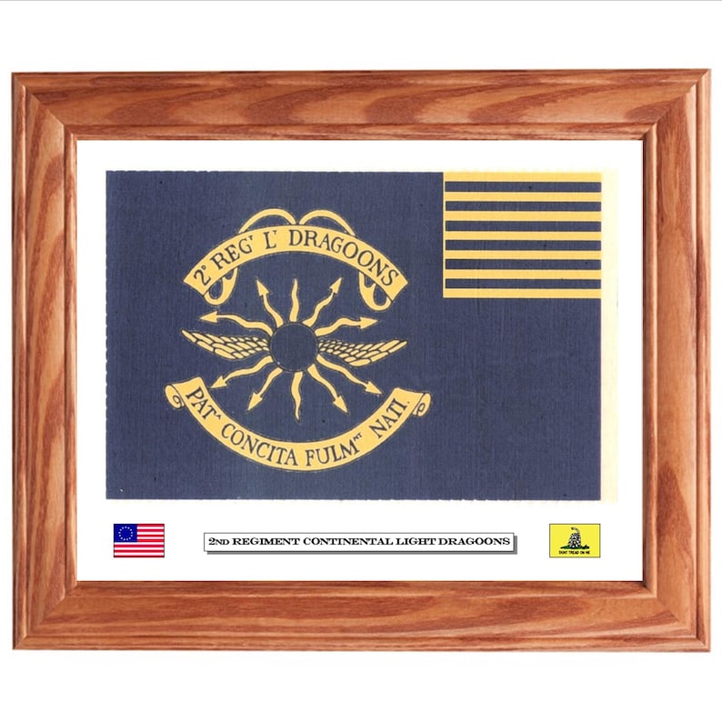 Drapeau de l'armée continentale américaine, drapeau de la guerre d'indépendance 2e dragons lumineux, art mural patriotique, décoration murale. image 2