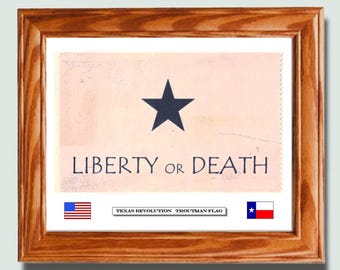 Framed historic Texas Revolution Flag...LIBERTY or DEATH...Troutman Flag, Patriotic American Wall Art, Wall Decor.