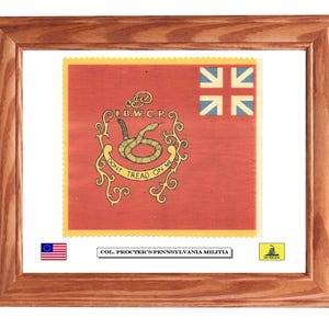 Framed Revolutionary War Flag, Pennsylvania, Don&#39;t Tread On Me Flag, John Procter, American Wall Art, Wall Decor.