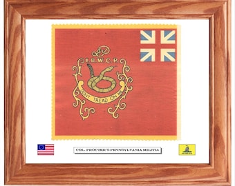 Bandera de la Guerra de la Independencia enmarcada, Pensilvania, bandera "No me pises", John Procter, arte mural estadounidense, decoración de pared.