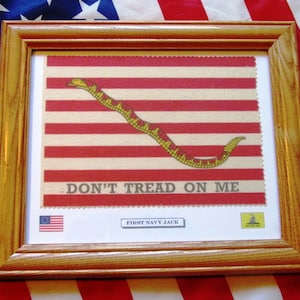 American Flag, Revolutionary War Flag. Don&#39;t Tread On Me, First Navy Jack, Partriotic Wall Decor, Wall Art.