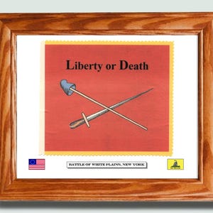 Framed Revolutionary War Flag, Battle of White Plains, New York. Liberty Flag. Battle of Long Island, Wall Decor
