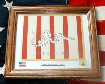 Drapeau de la révolution américaine. Drapeau des fils de la liberté, décoration murale americana partriotique, art mural.