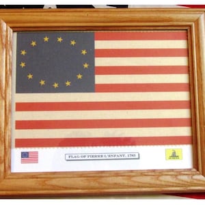 Framed 13 Star Flag, American Revolution Flag, Pierre L&#39;Enfant Flag of 1783, Americana Wall Art, Wall Decor.