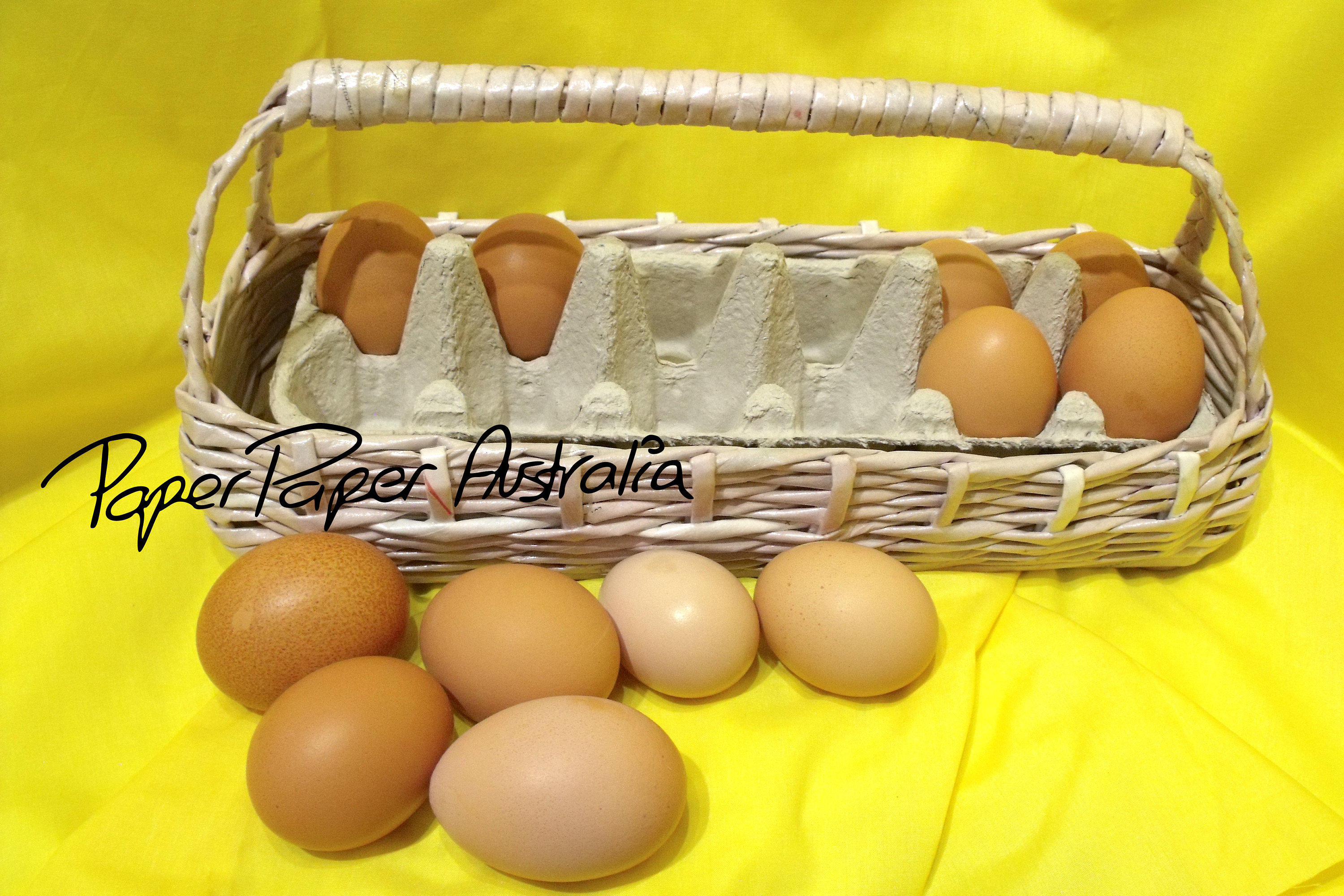 Chicken Egg Gathering Basket With Handles Eco Friendly Gift Etsy