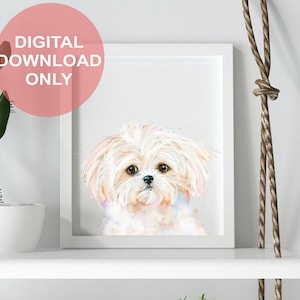 Cute Maltese Dog, Maltese Printable, Puppy Wall Art, Maltese Dog, Dog Lover Gift, Nursery Wall Art, Dog Mom, White Dog Art
