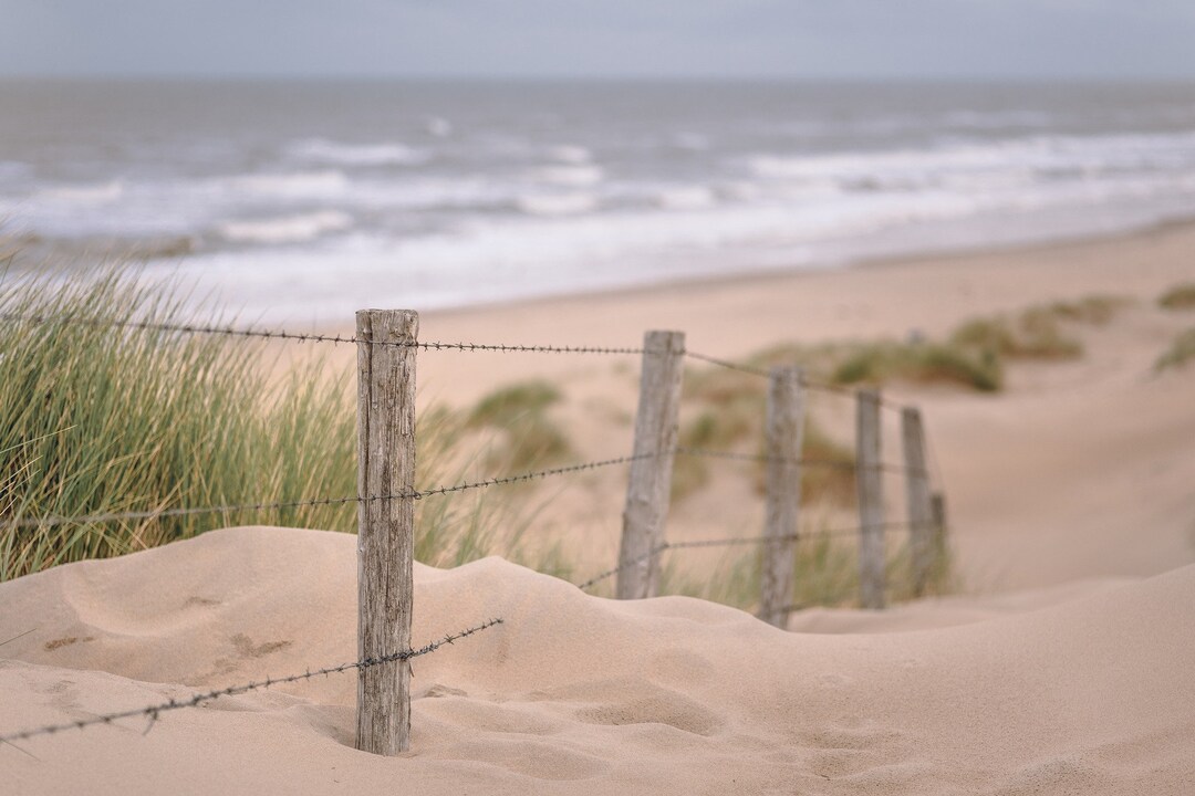 Beach Fence at the Ocean Wall Art Wall Decor Canvas Download - Etsy
