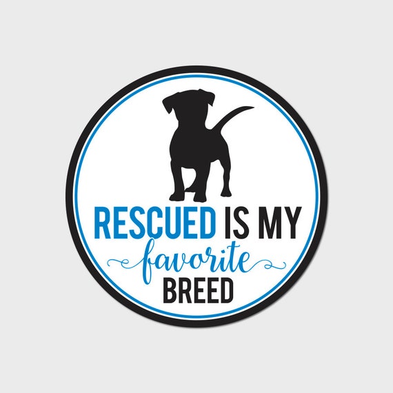 Rescue Is My Favorite Breed Bumper Sticker Rescue Dog//Cat Vinyl Window Decal