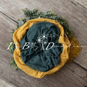 Newborn digital backdrop