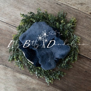 Newborn digital backdrop, Newborn digital backdrop blue
