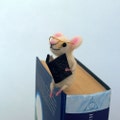 Mouse bookmark miniature woolen mouse Animal eco friendly Waldorf Funny gift idea Comical idea Book lovers gift Sweet figurine bookmark product logo