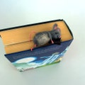 Miniature mouse bookmark sleeping, book lovers gift, children gift, book worms gift, Christmas present, original gift, father men gift product logo