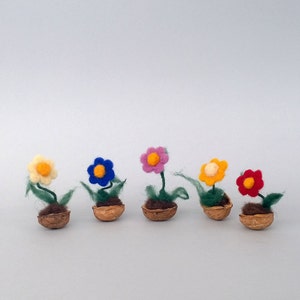 May include: Six miniature felt flower arrangements in walnut shells. The flowers are yellow, blue, pink, yellow, red, and each has a yellow center. The flowers are arranged in a row on a white background.