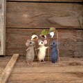 Felt Toy Miniature Mice Brown Gray White mouse with flower Mini Wool animal Needle felt Collectible Dollhouse mini Waldorf doll Tiny animal product logo