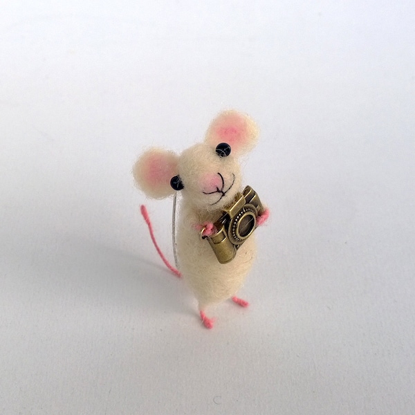 Mouse with camera brooch Needle felt mouse accessory Eco friendly Jewelry Tiny animal pin Darling gift Miniature mouse Woolen art sculpture