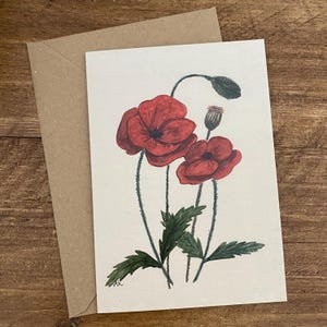 Cartão de felicitações botânico de papoula com envelope, em branco por dentro