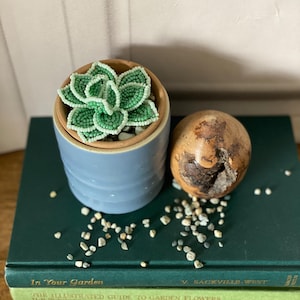 May include: A small, light blue ceramic pot with a beaded green succulent plant inside. Beside it is a brown, rounded decorative object. The items rest on a dark green book with the title "In Your Garden". Small pebbles are scattered around.