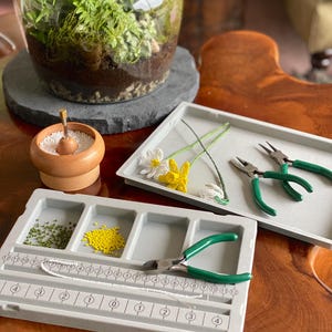 May include: A glass terrarium with green plants on a grey stone. A small wooden bowl with a scoop is next to it. Two grey trays hold craft supplies, including beads, wire, and green-handled pliers. A ruler is on one tray.