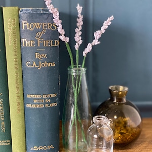 May include: A still life featuring vintage books and glass bottles. A blue book with gold lettering reads "FLOWERS of THE FIELD." A clear bottle holds lavender-colored beaded stems. Other bottles are amber and clear.