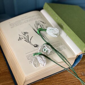 May include: A pair of beaded snowdrop flowers with white petals and green stems rest on an open vintage book. The book has botanical illustrations and text. A green book is behind it on a wooden surface.