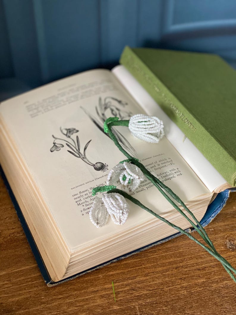 May include: A pair of beaded snowdrop flowers with white petals and green stems rest on an open vintage book. The book has botanical illustrations and text. A green book is behind it on a wooden surface.