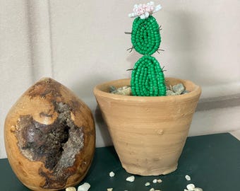 Beaded Cactus Craft Kit: Spiky Plant DIY for Adults