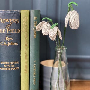 May include: A clear glass bottle holds beaded white snowdrop flowers with green stems. Three antique books in shades of blue and green stand to the left. The books are titled "Flowers of the Field", "The Illustrated Guide to Garden Flowers", and "In Your Garden".