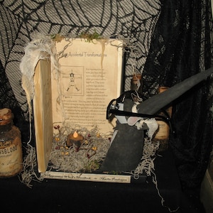 Primitive Halloween Witch Apprentice Turned Himself Into A Mouse