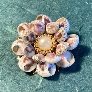 Shell Cluster and Pearl Brooch